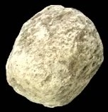 Piedra pómez cruda, espécimen de roca ígnea - Aprox. 1 - Geólogo  seleccionado y procesado a mano - Ideal para aulas de ciencias - Eisco Labs