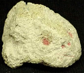 Piedra pómez de piedra de composición básica en blanco